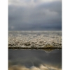 littlewave12