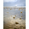 littlewave3